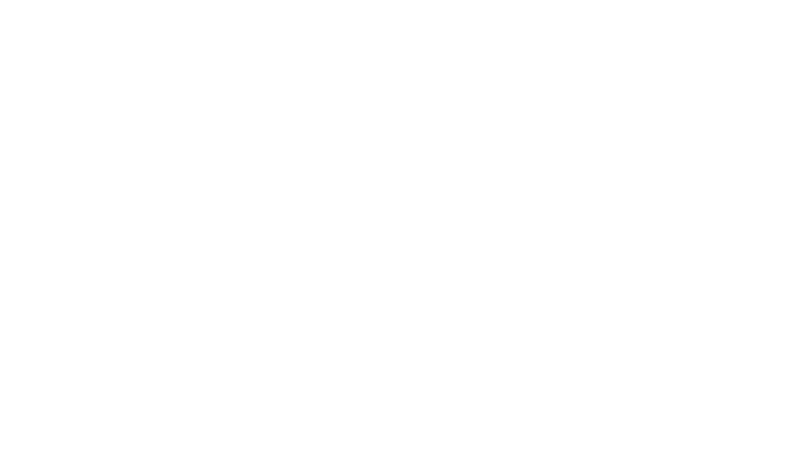 Al Naseem Logo